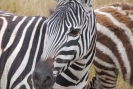 tanzania1136