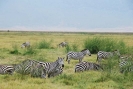 tanzania1139