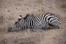 tanzania1202