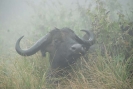 tanzania1292