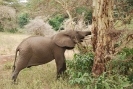 tanzania1332