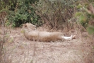 tanzania1406