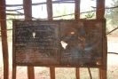 tanzania2100