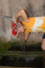 campo52012030