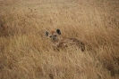 Viaggio Tanzania 2009