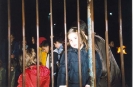 Festa di San Martino - 2003